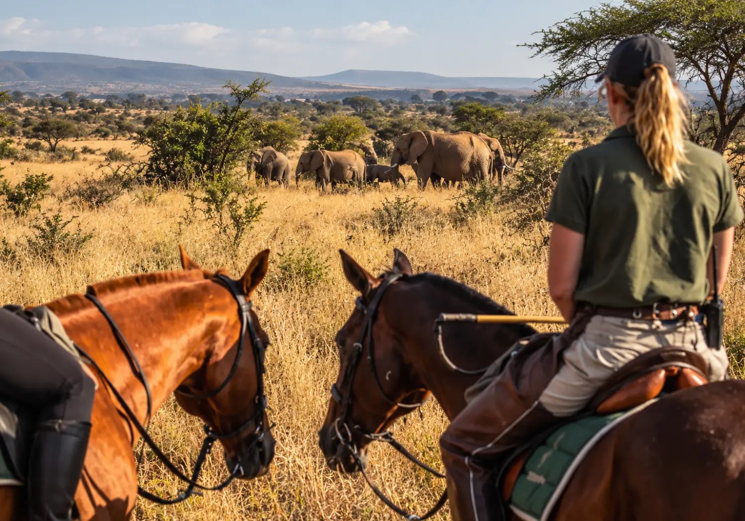 Horseback Safaris in Kenya: Complete Guide for 2026, 2027 & 2028 cover