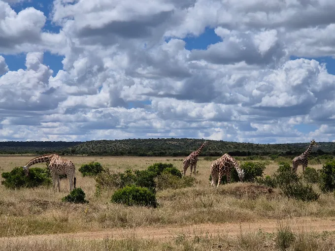Mugie Conservancy