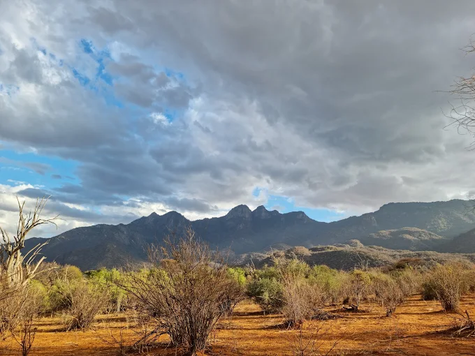 Namunyak Wildlife Conservancy