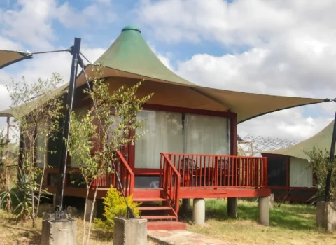 Single Room – AA Lodges Maasai Mara - Single Room – AA Lodges Maasai Mara – AA Lodge
