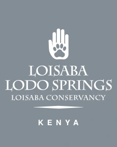 Loisaba Lodo Springs logo