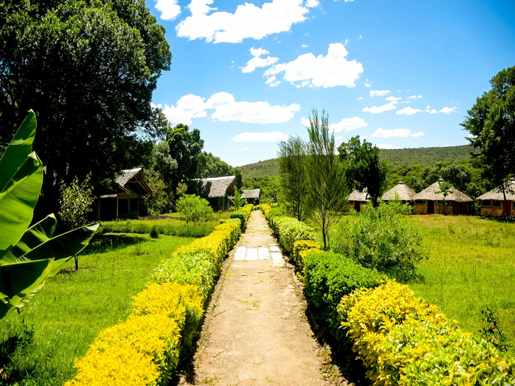 Giraffe Hills Camp