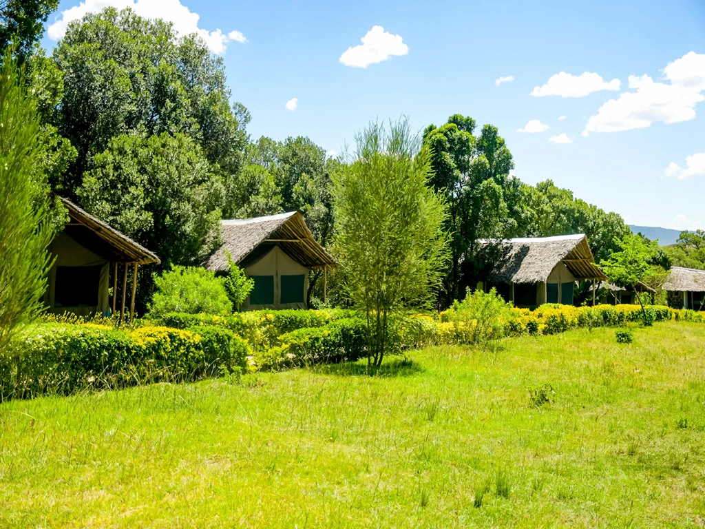 Giraffe Hills Camp