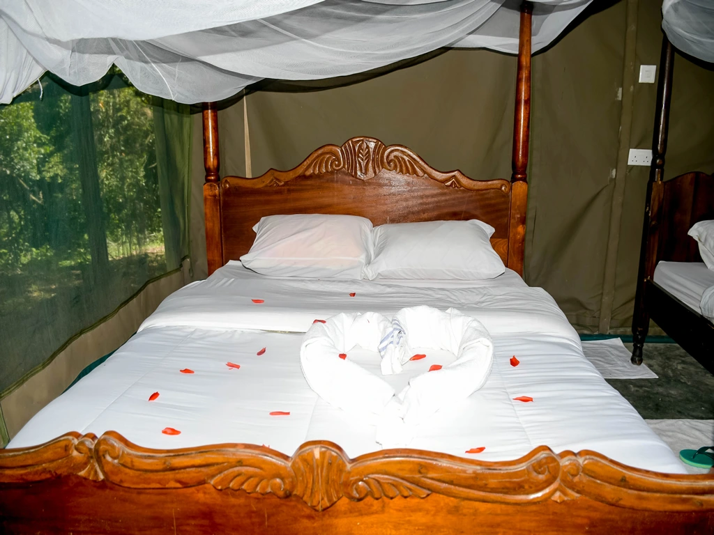 Giraffe Hills Camp