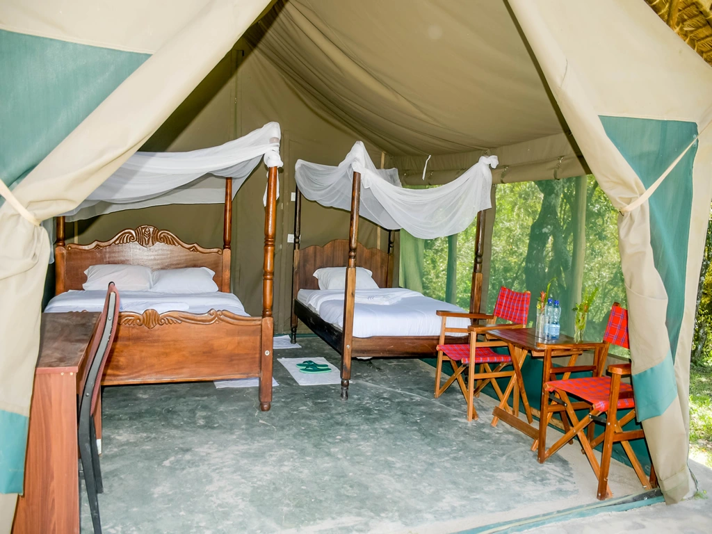 Giraffe Hills Camp