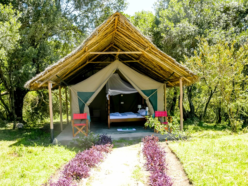 Giraffe Hills Camp