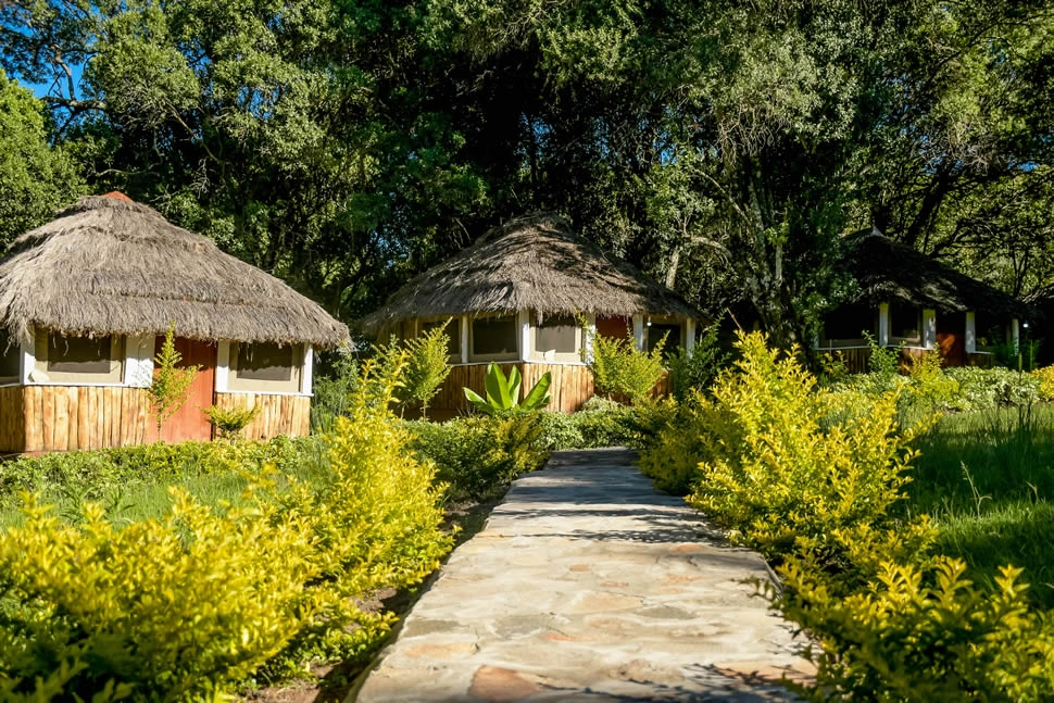 Single Cottage Room