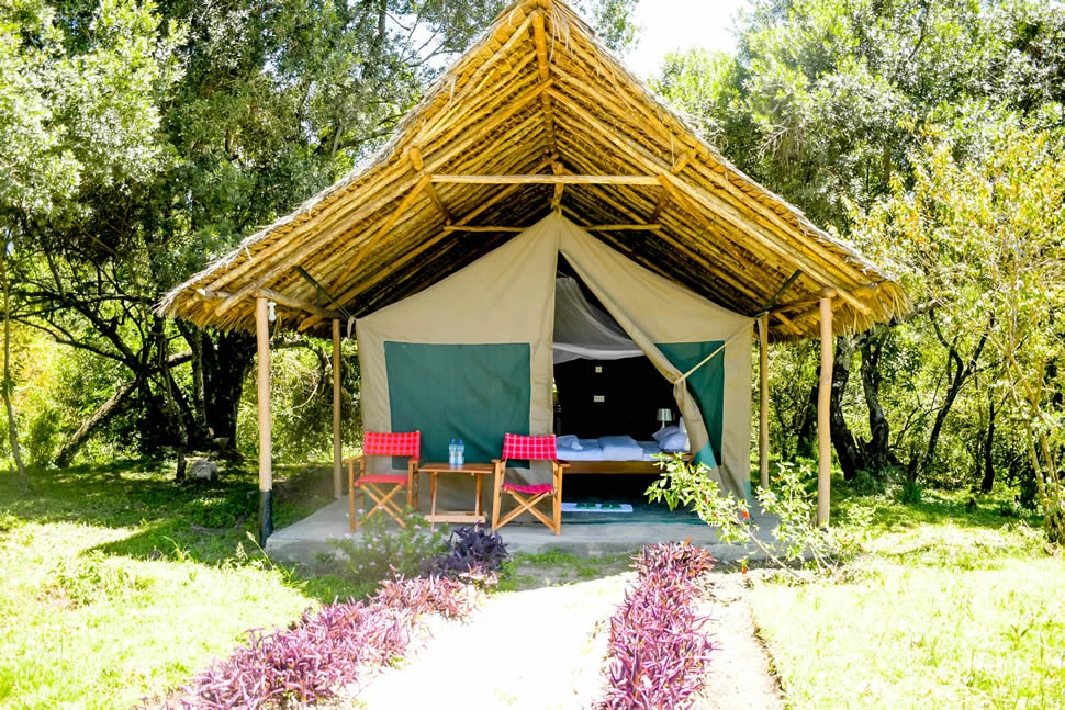 Single Room Tent