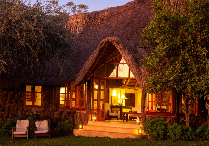 Lewa Wilderness 8