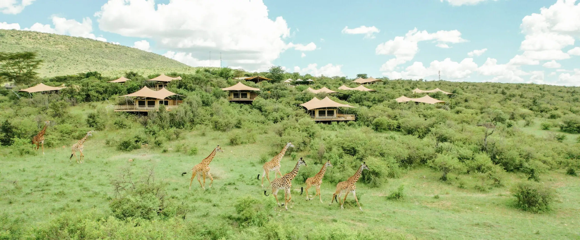 Luxury Masai Mara Safari Camp & Spa