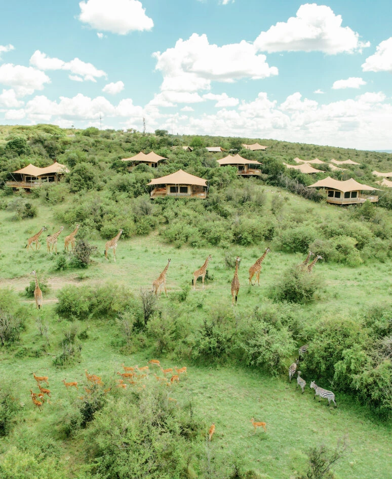 Luxury Masai Mara Safari Camp & Spa