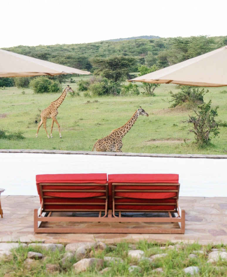 Luxury Masai Mara Safari Camp & Spa