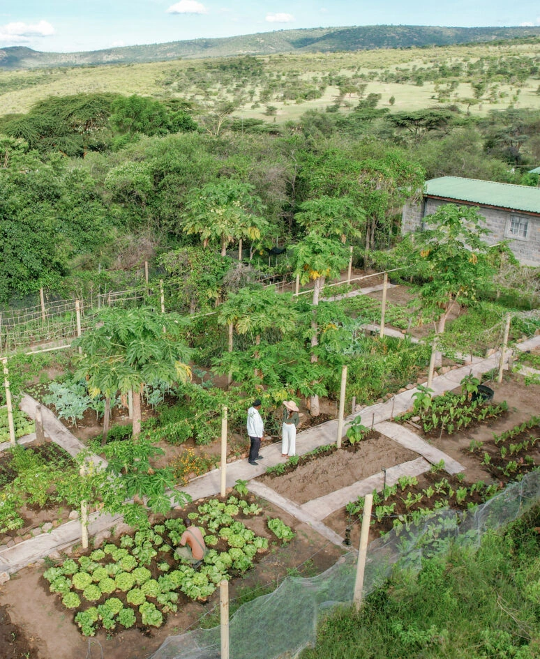 Luxury Masai Mara Safari Camp & Spa