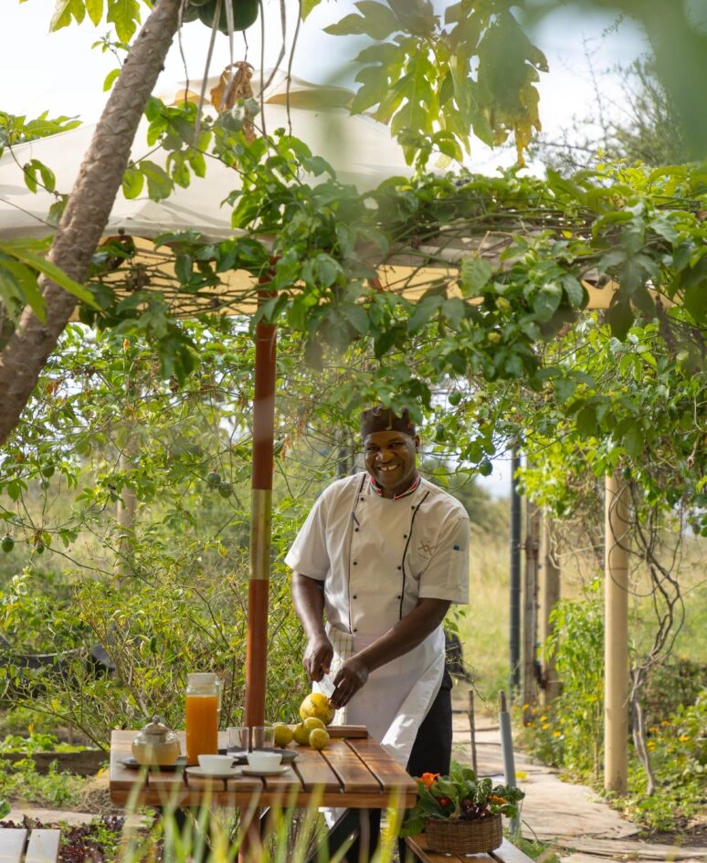 Luxury Masai Mara Safari Camp & Spa