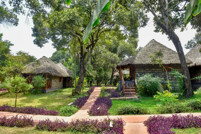 Gallery – Mara Chui Resort