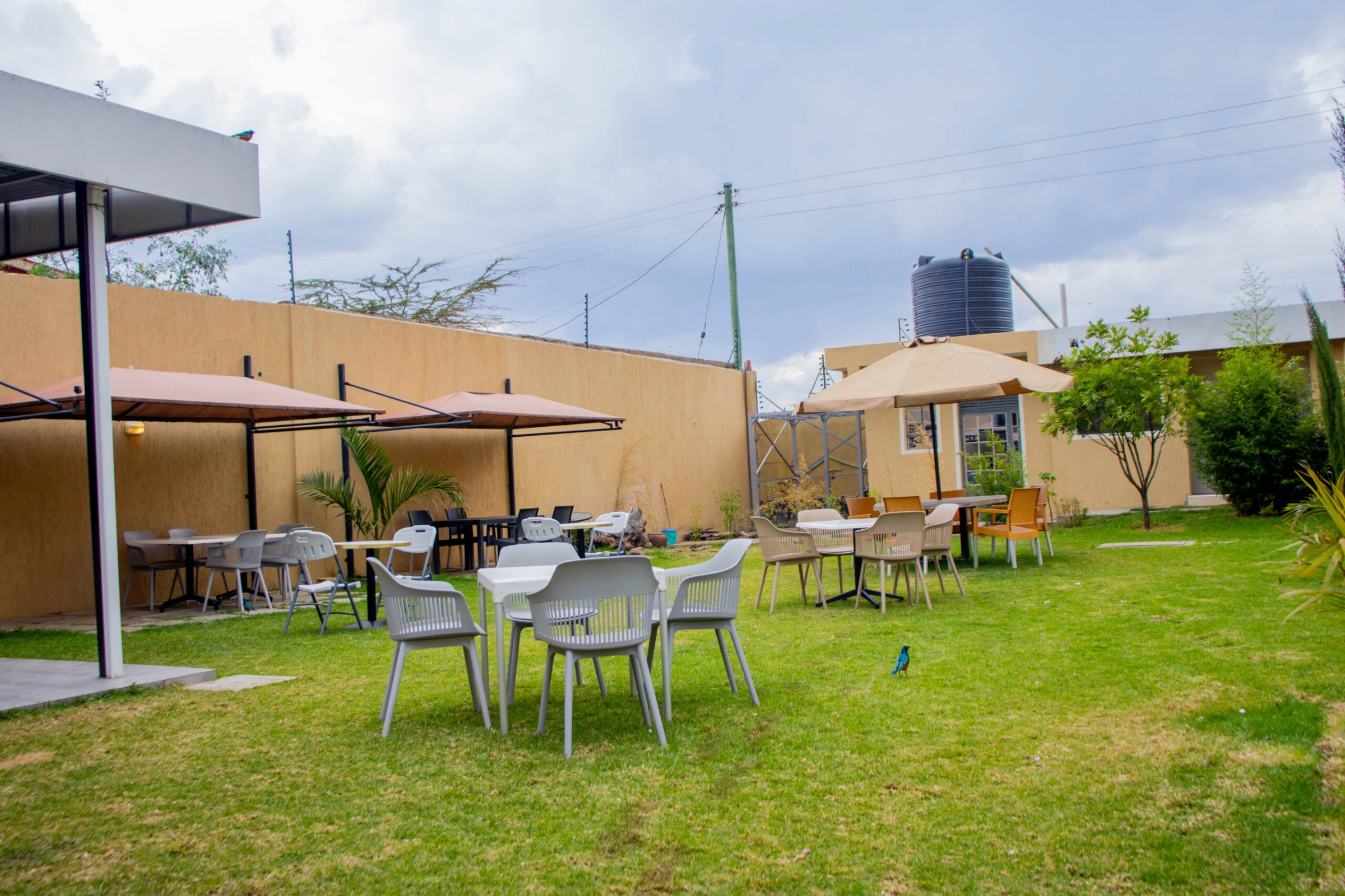 Mara Frontier Hotel