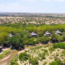 Mara Simba Lodge