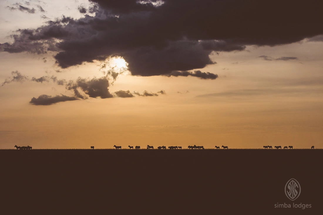 Mara Simba Lodge