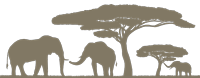 elephants