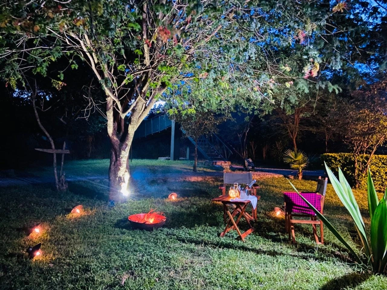 Experience the Best of Masai Mara at Mara Sweet Acacia Lodge