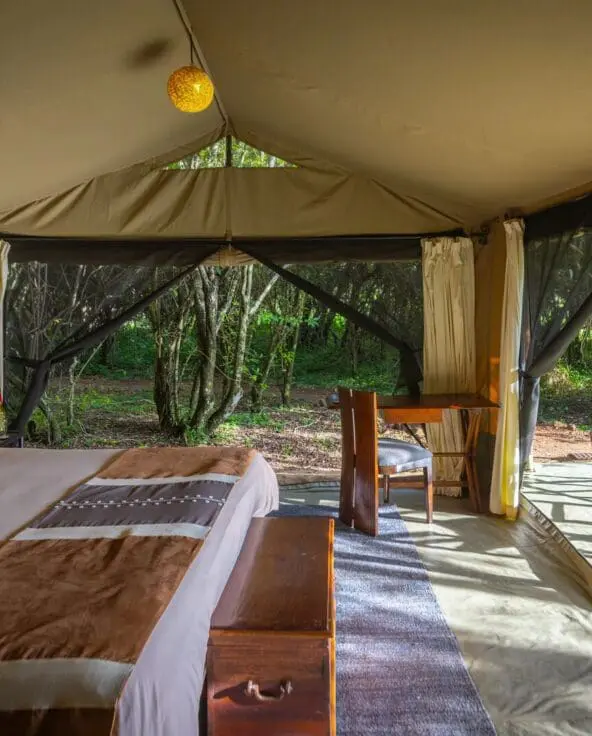 A safari tent bedroom with large bed, bedside tables, and soft ambient lighting