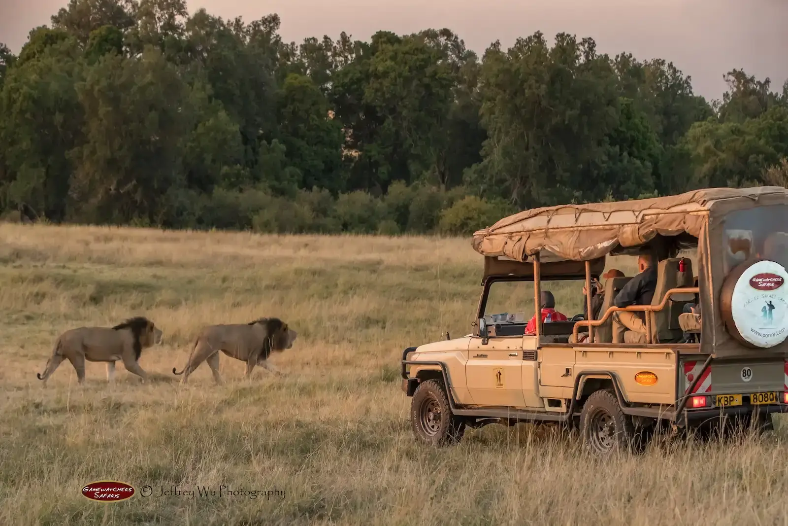 Porini Rhino Camp