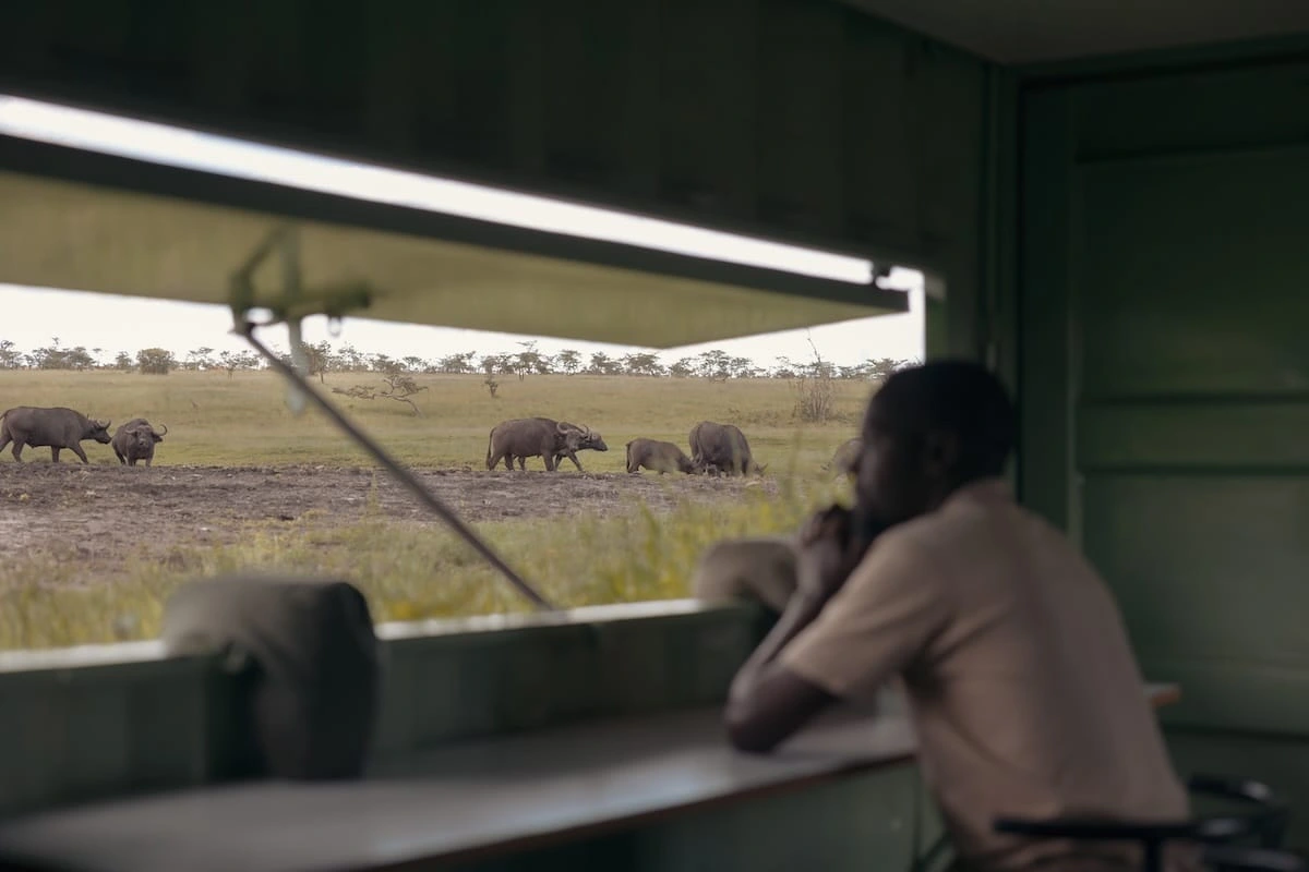 Visit Porini Rhino Camp for Africa’s Best Big Five Safari Experience