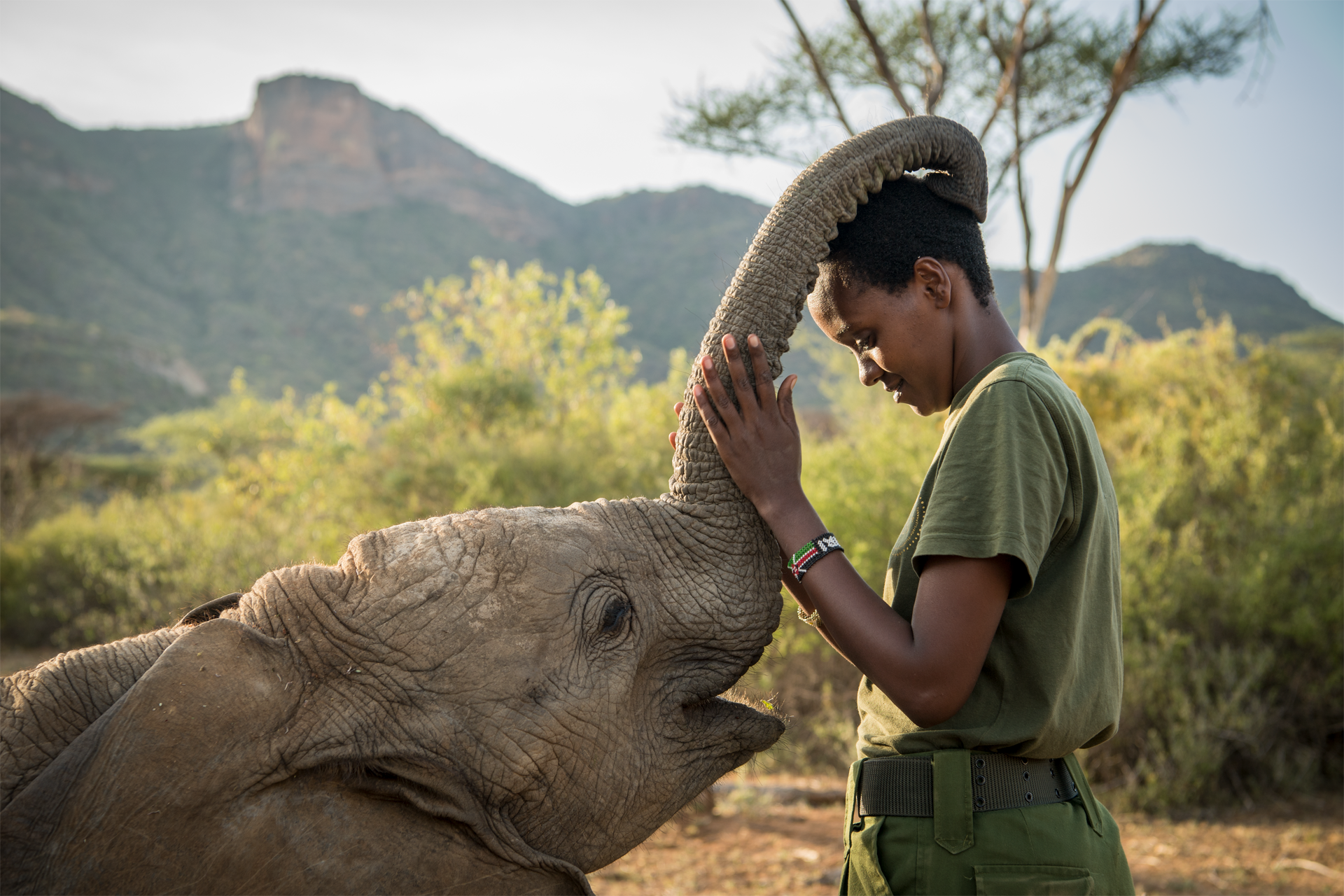 Visit Reteti Elephant Sanctuary
