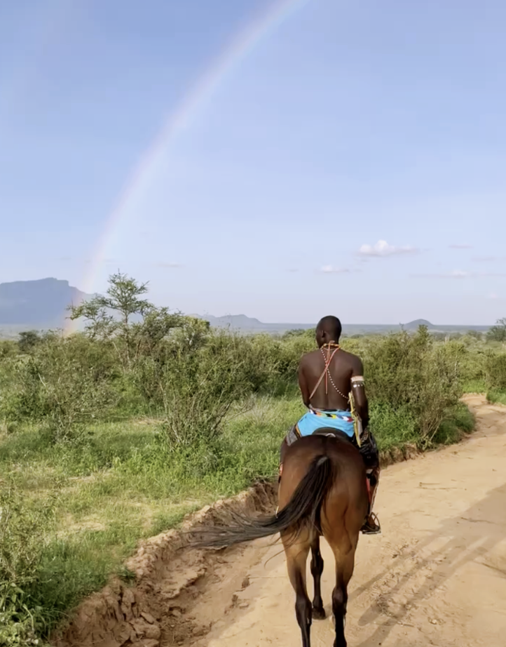 Guided horseback safari