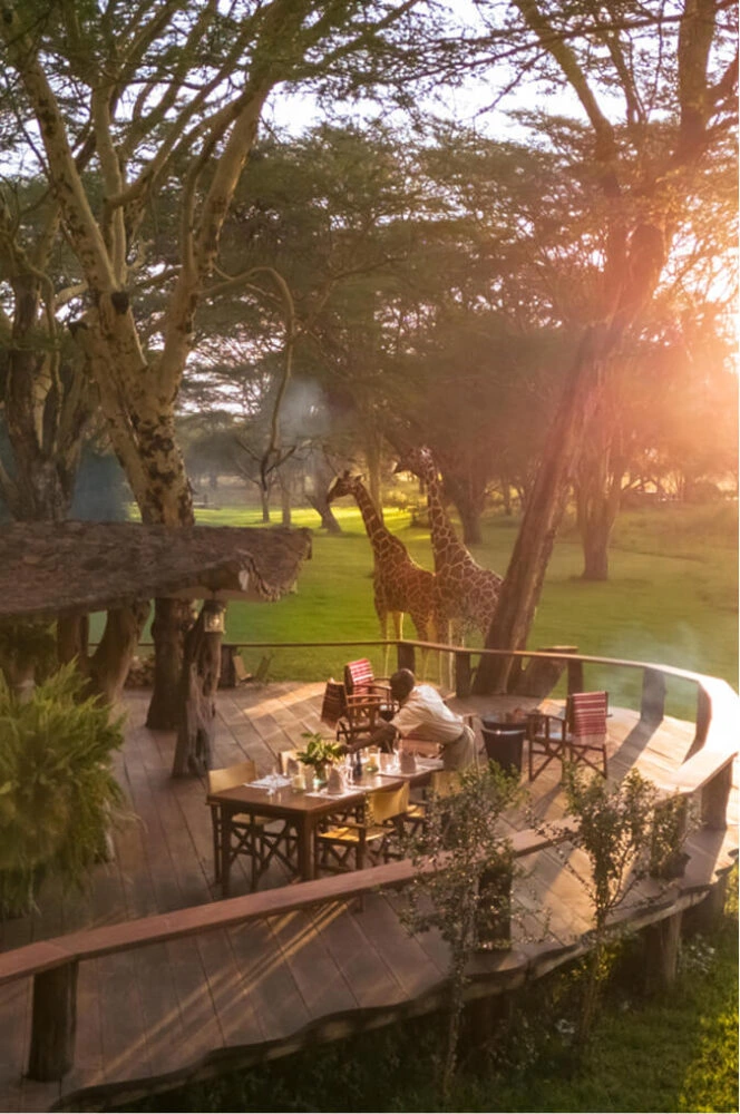Sirikoi | Lewa Wildlife Conservancy | Kenya Safari Lodge