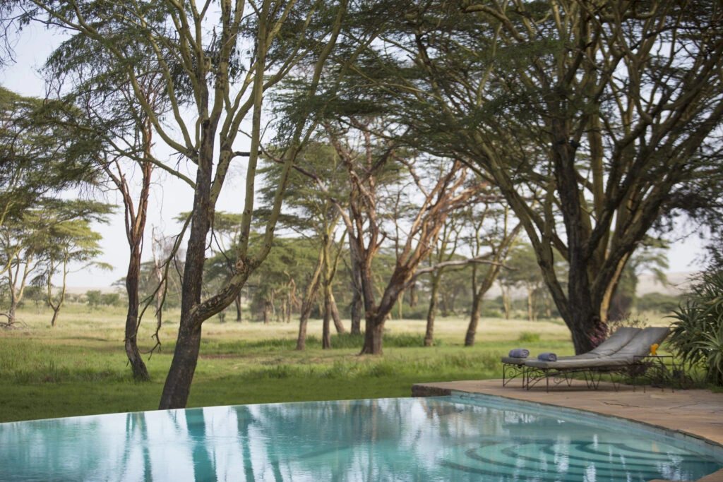 Sirikoi | Lewa Wildlife Conservancy | Kenya Safari Lodge