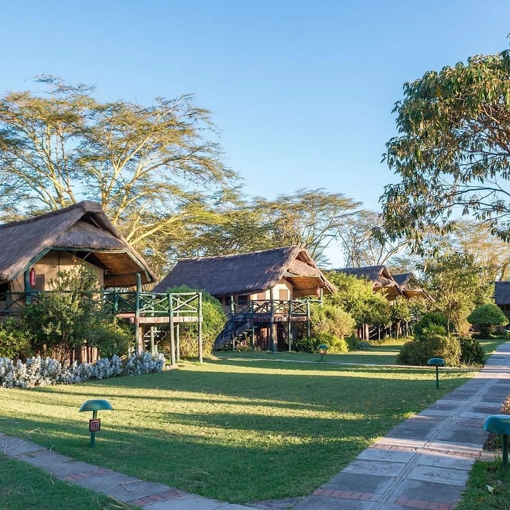 Standard Twin Tent with Thatched roof huts by a stone path surrounding green lawns at Sweetwaters Serena Camp