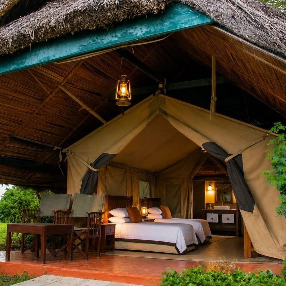 Standard Twin Tent Waterhole View