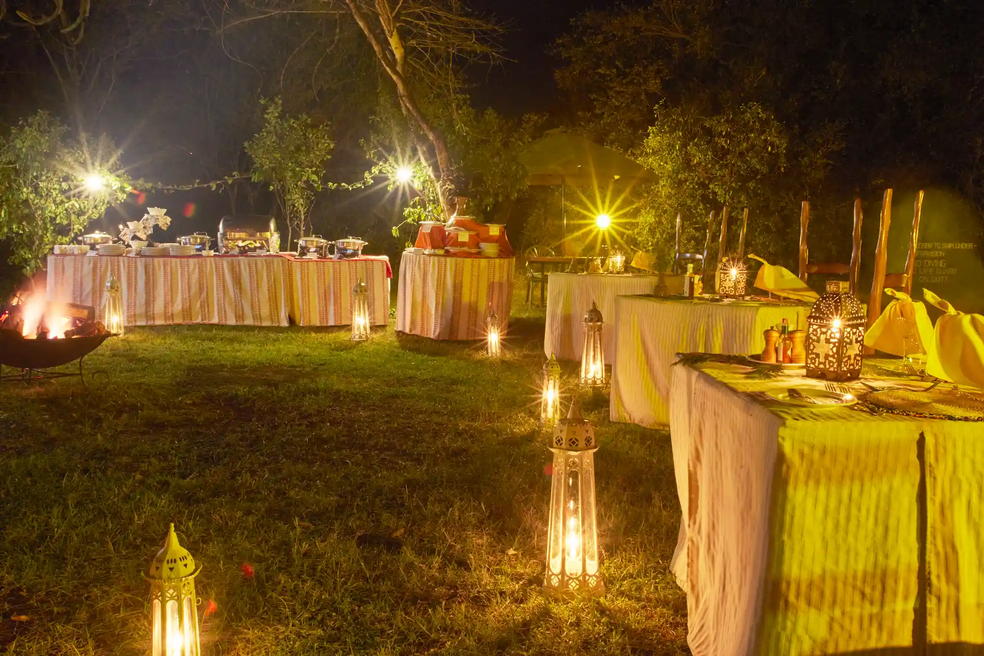 Outdoor Dinner Setup