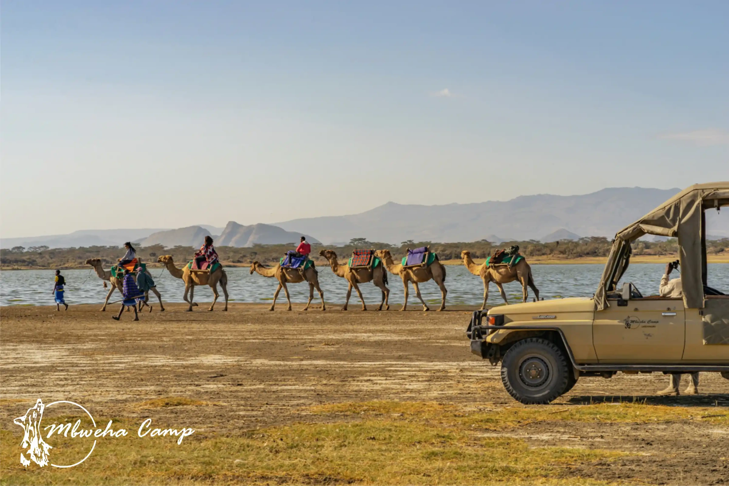 Game Drive
