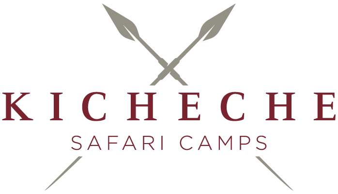 Kicheche Laikipia logo