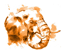Sirikoi Lodge logo