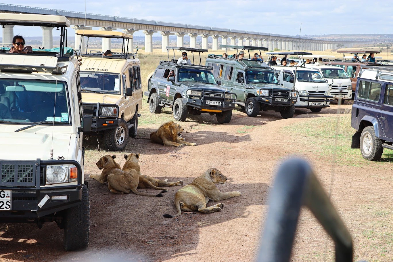 1 Day Nairobi National Park & Sheldrick Nursery Excursion