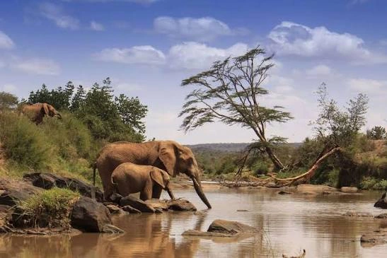 3 Day Samburu Wildlife and Culture Safari in Kenya