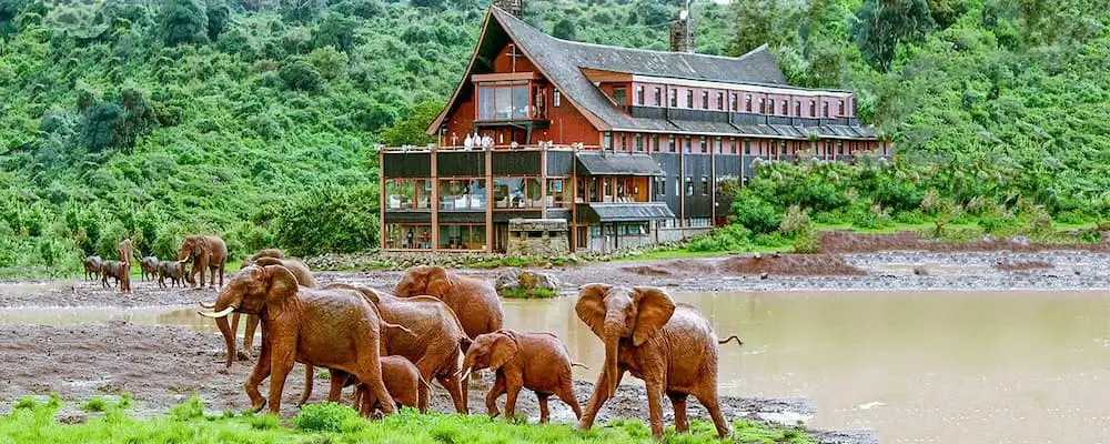 2 days Aberdare National Park Safari in a 4x4 Landcruiser