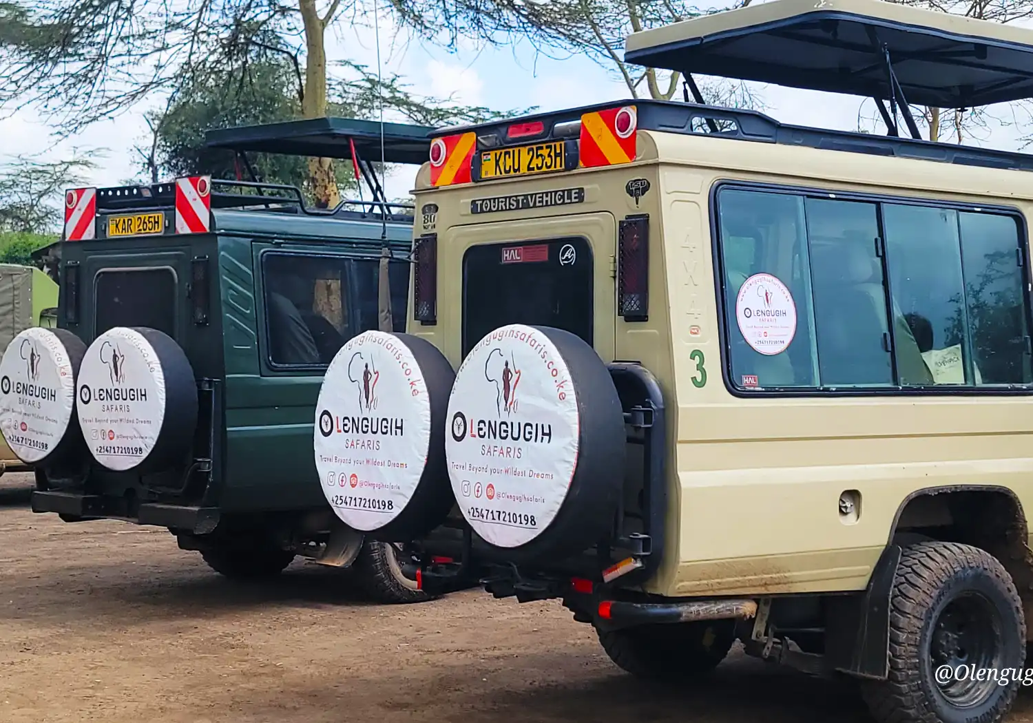 Nairobi National Park Safari Experience