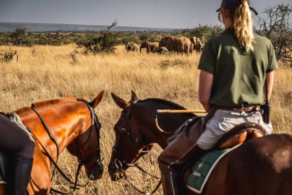 Best Places for Horse Riding Safaris in Kenya