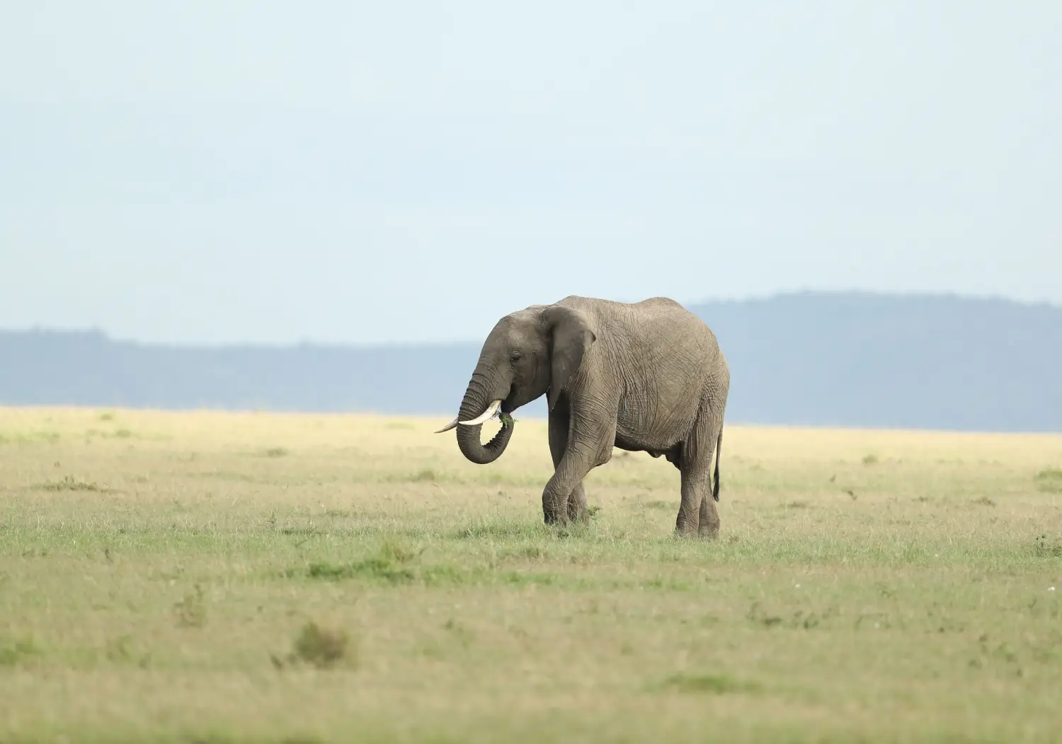 Kenya Safari During the Rainy Season (1)