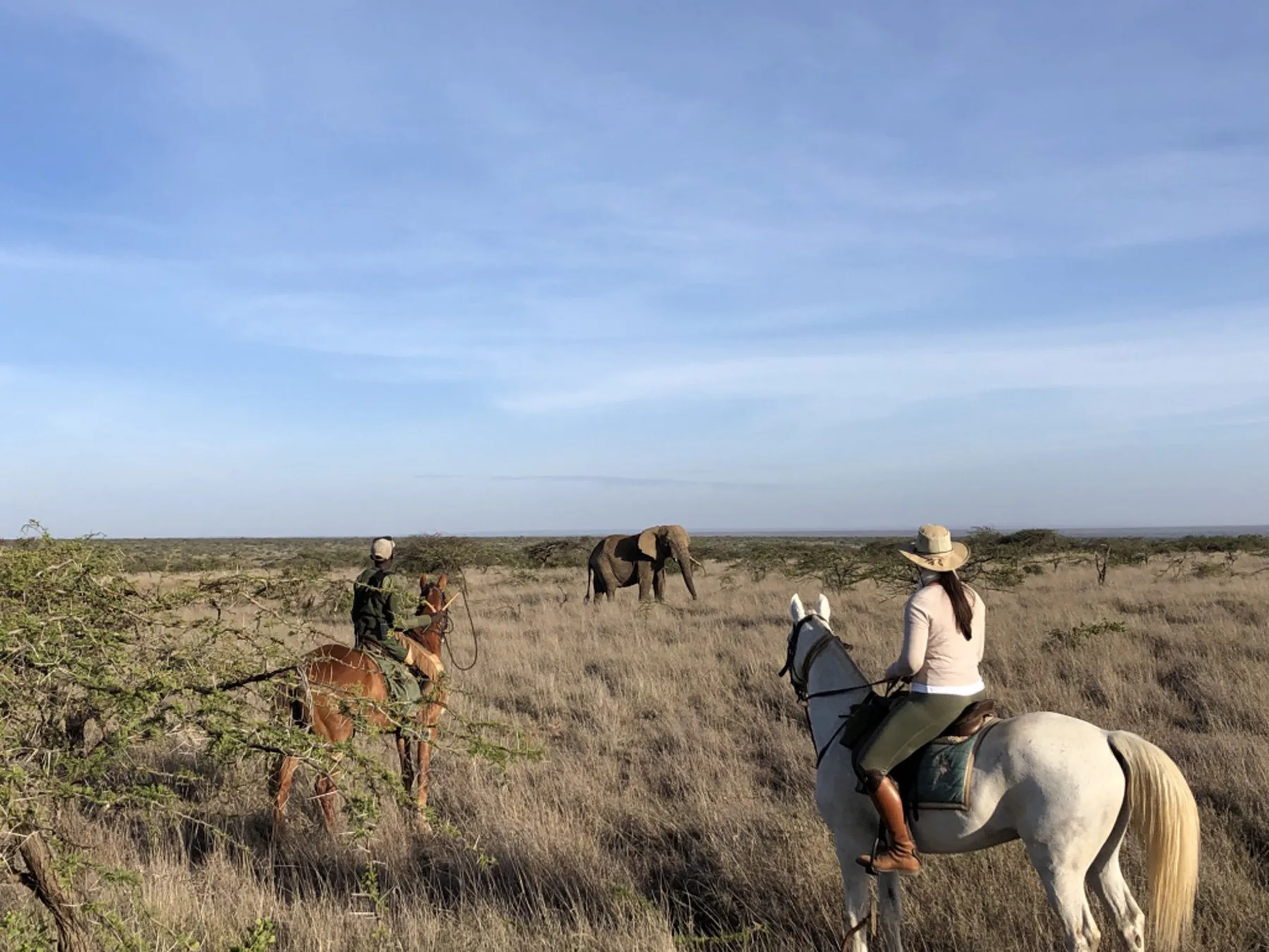@Sosian Horseback Safaris